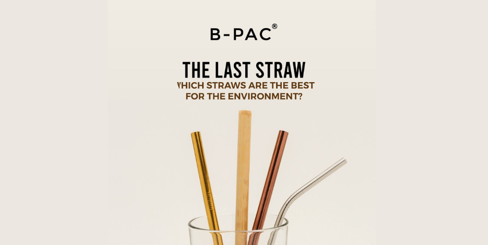 Which straws are the best for the environment?