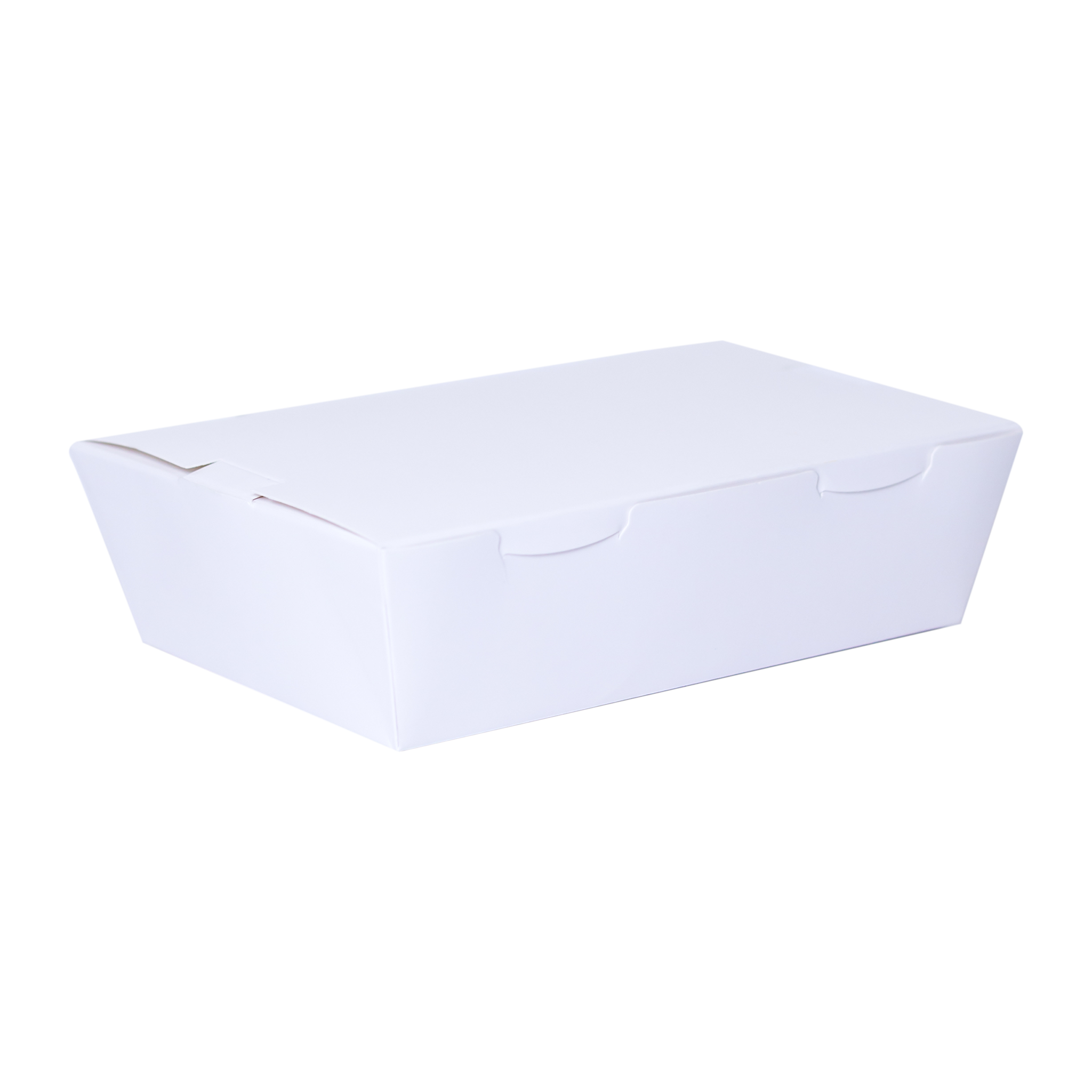 Single Compartment Lunch Box (White) - Large